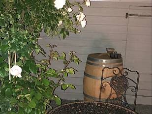 Rosenbaum bei Gartenlaube