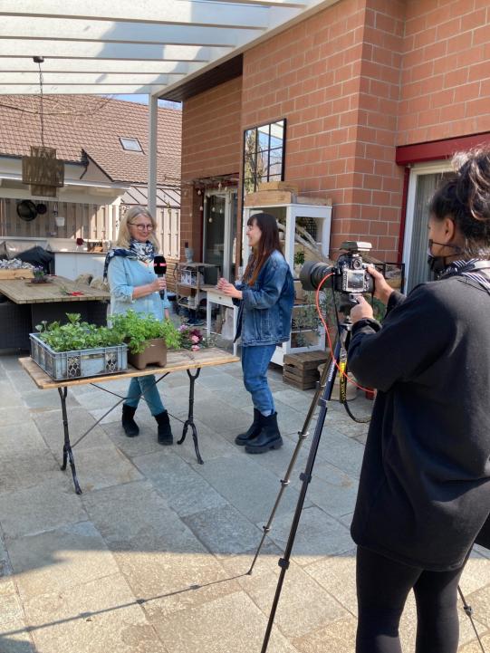 Sonntagsblick , abinsbeet ,