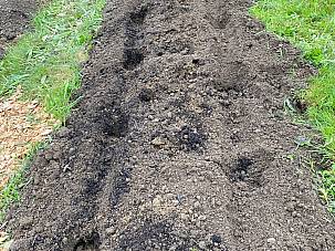 Vorbereitetes Feld für die Dahlien